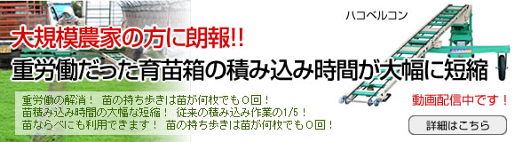 �n�R�x���R��